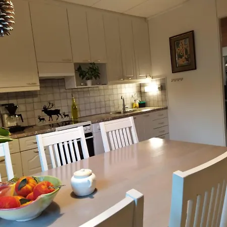 House Maentyniemi * הוסה